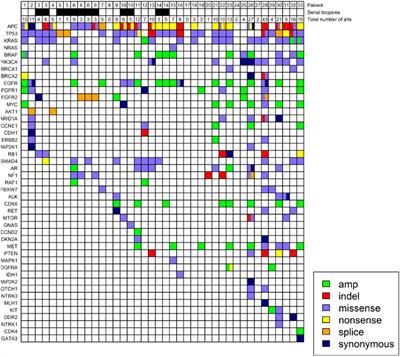 Clinical Utilization Pattern of Liquid Biopsies (LB) to Detect Actionable Driver Mutations, Guide Treatment Decisions and Monitor Disease Burden During Treatment of 33 Metastatic Colorectal Cancer (mCRC) Patients (pts) at a Fox Chase Cancer Center GI Oncology Subspecialty Clinic